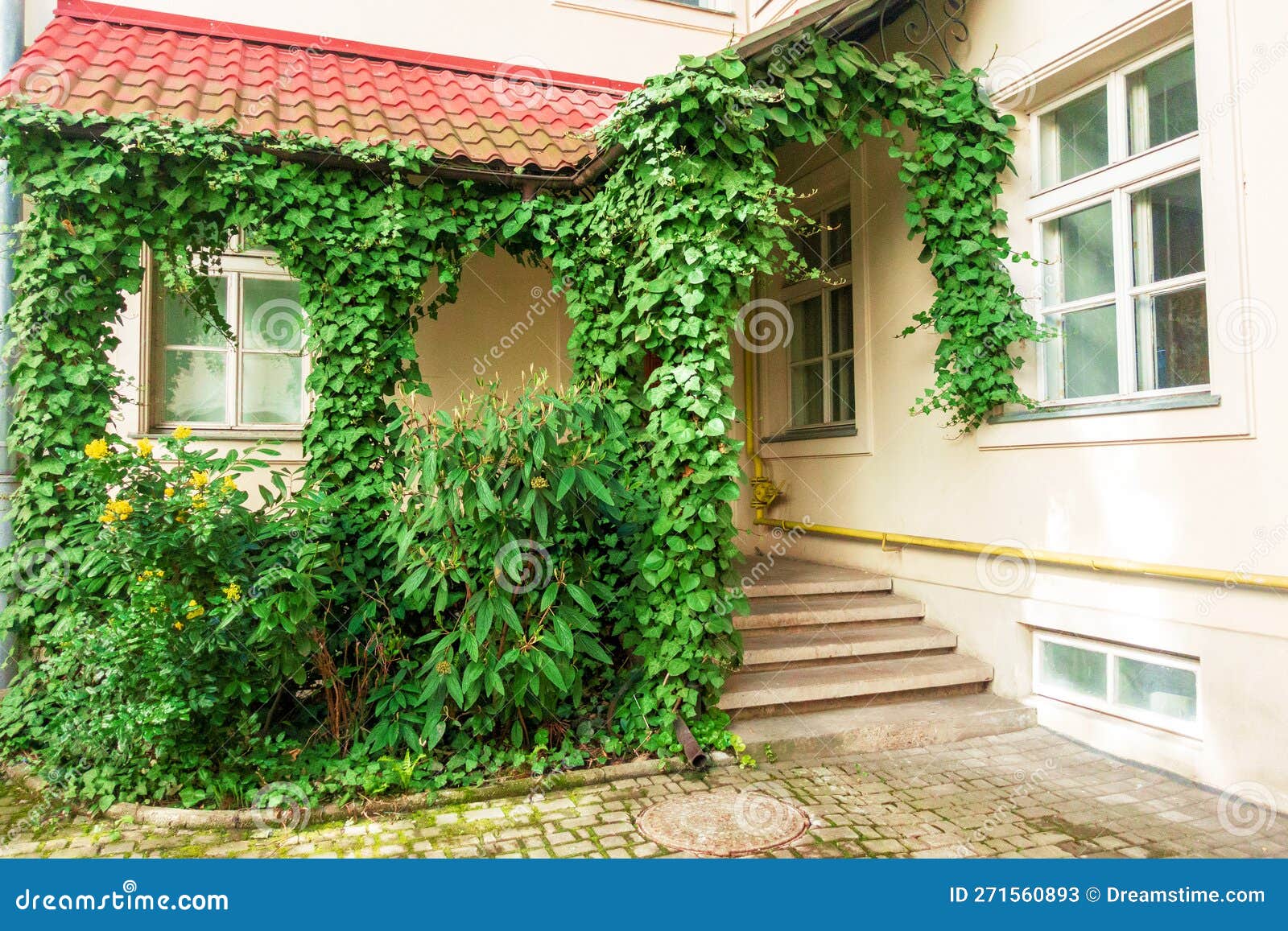 The Veranda of the House is Covered with Climbing Greenery Stock Image