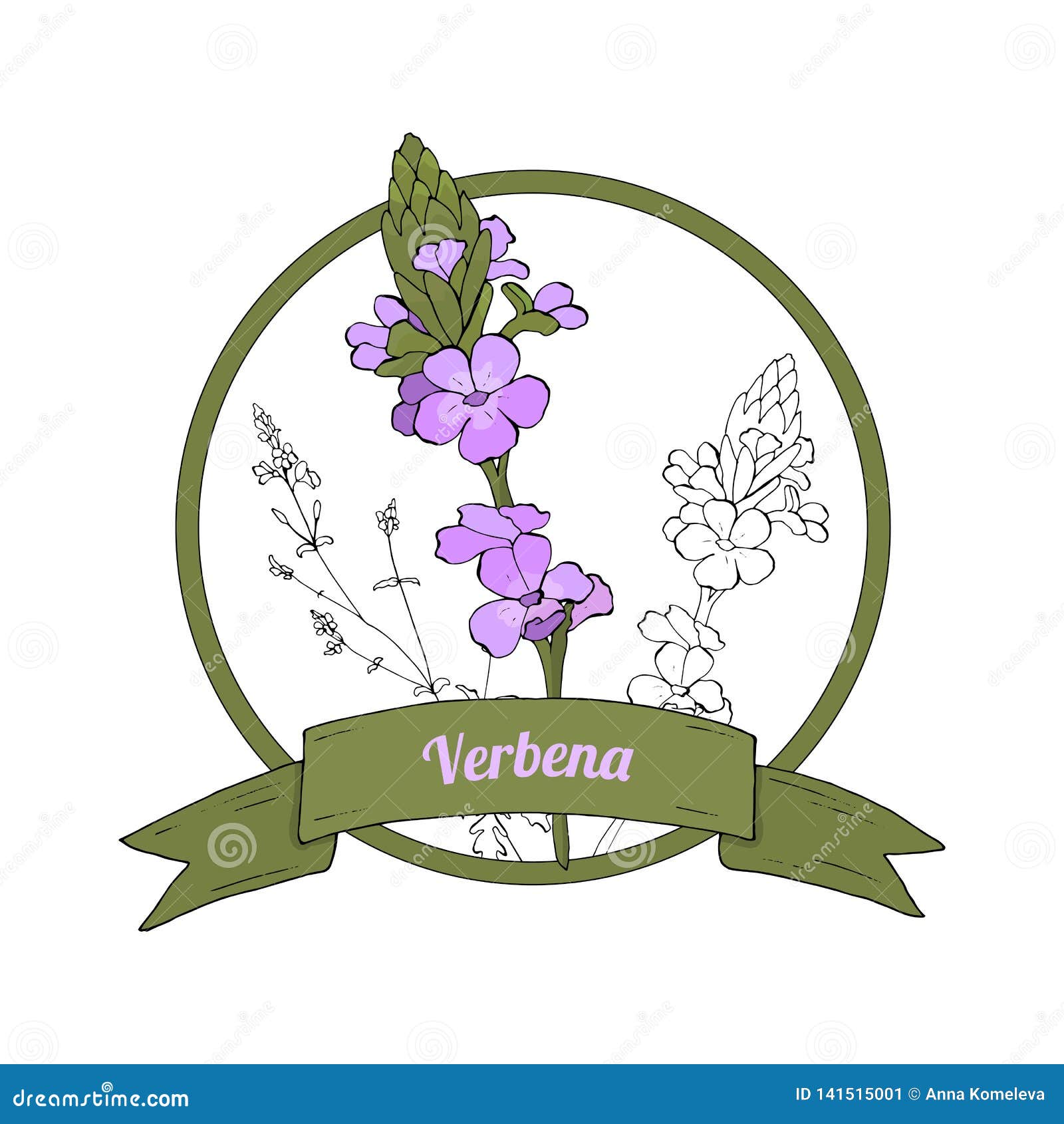 Featured image of post Dibujo Flor Verbena - Campo de flores púrpura, hermosa naturaleza de verbena bonariensis o vervain púrpura bajo el cielo en khao kho.