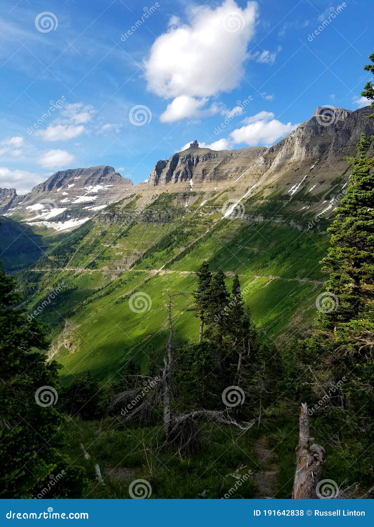 the verdant garden wall, glacier national park
