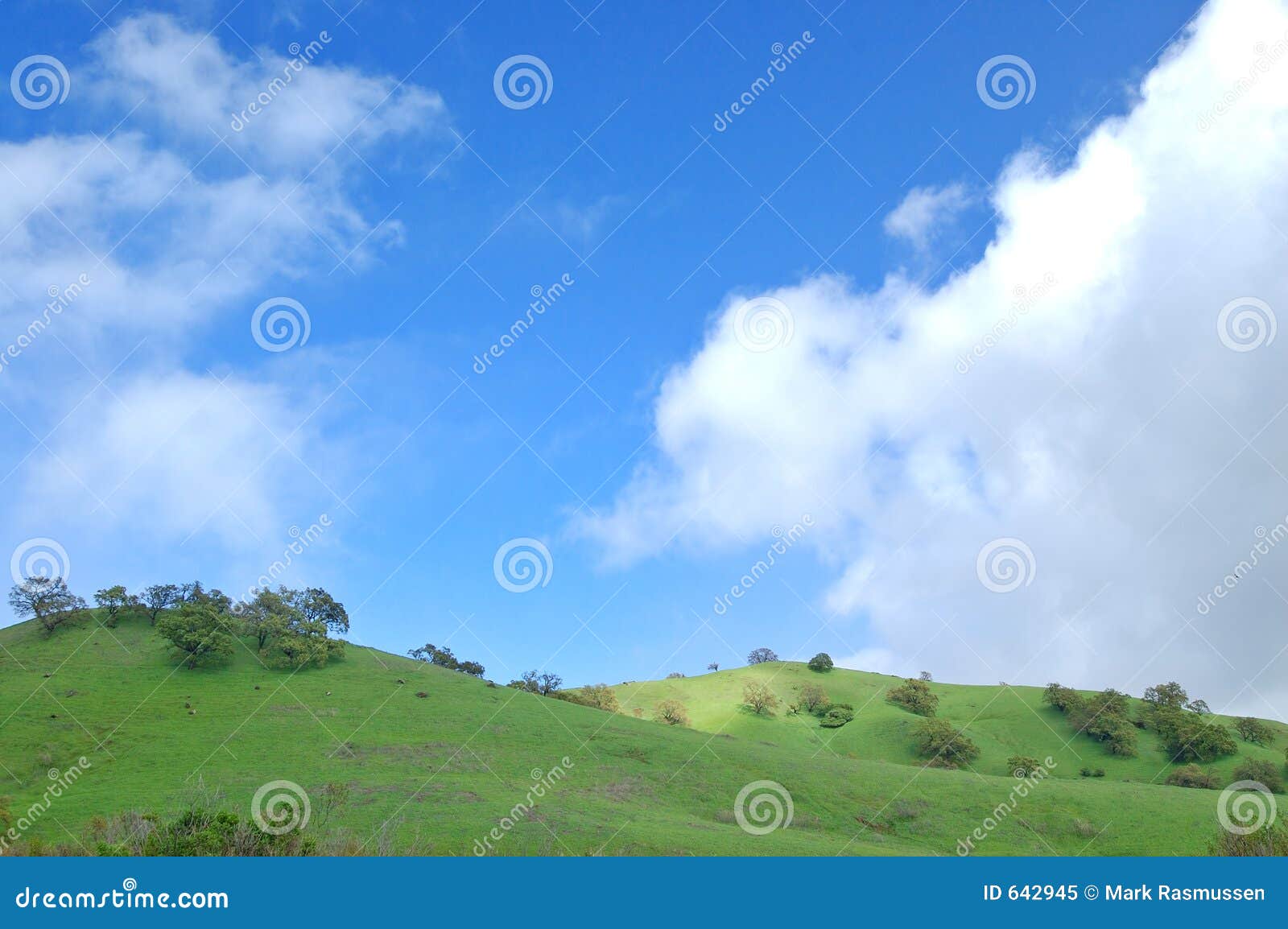 verdant hillside