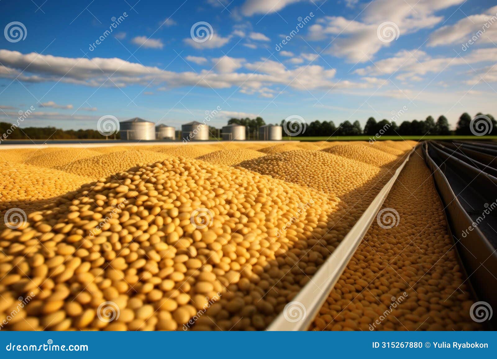 verdant soy beans farm. generate ai