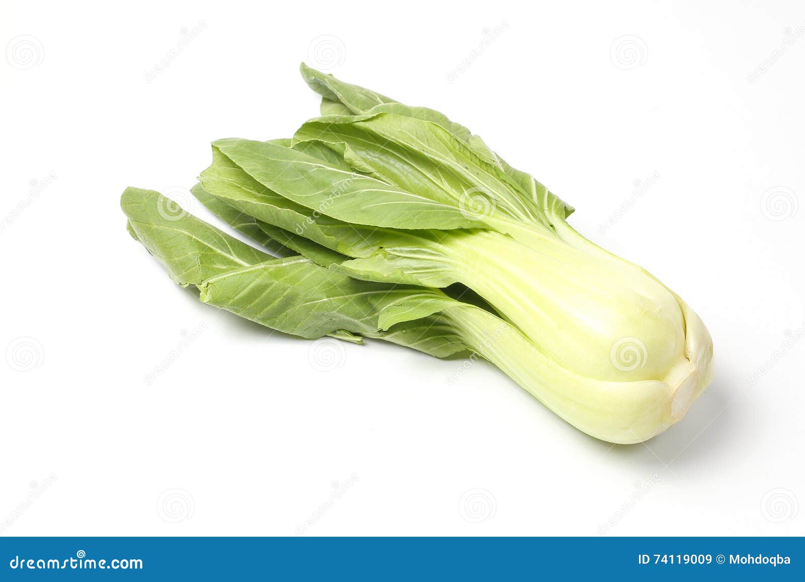 Verdura De Bok Choy Green Leafy Imagen de archivo Imagen de pista