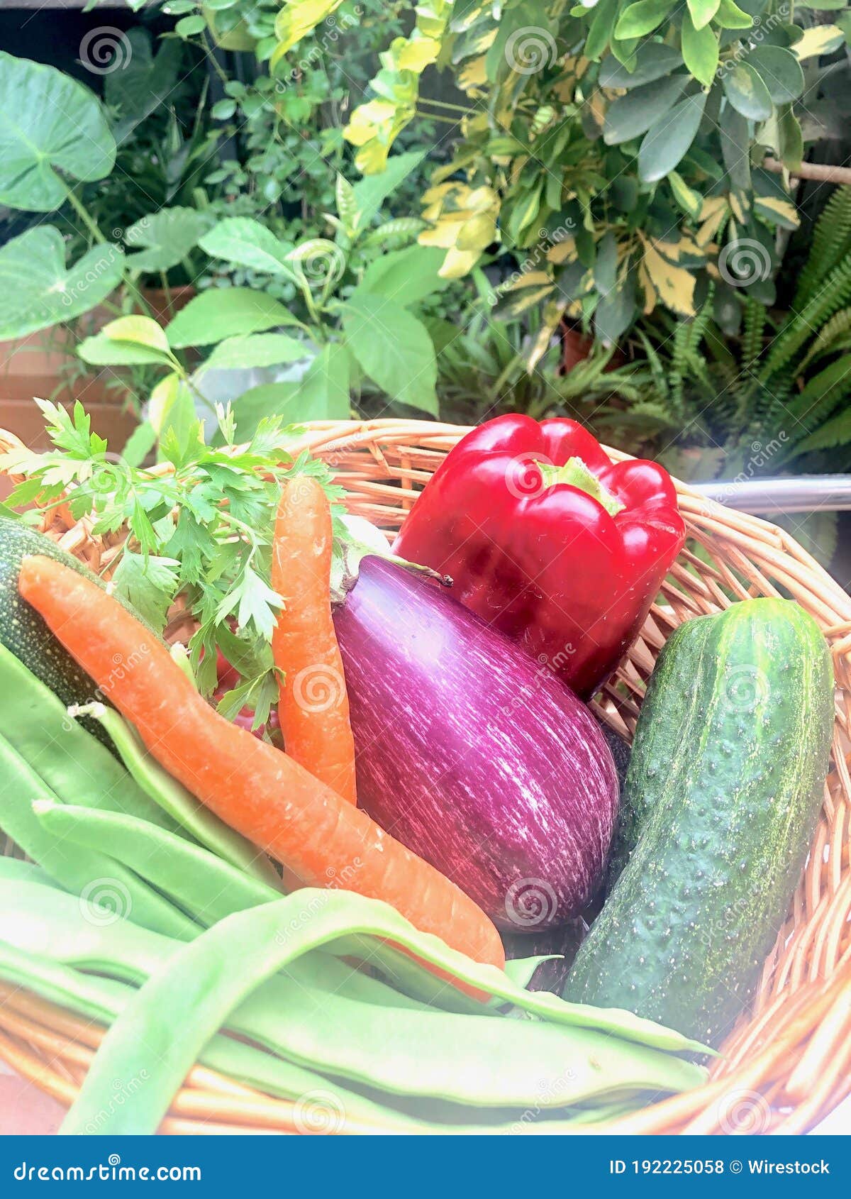 verduras frescas y hortalizas