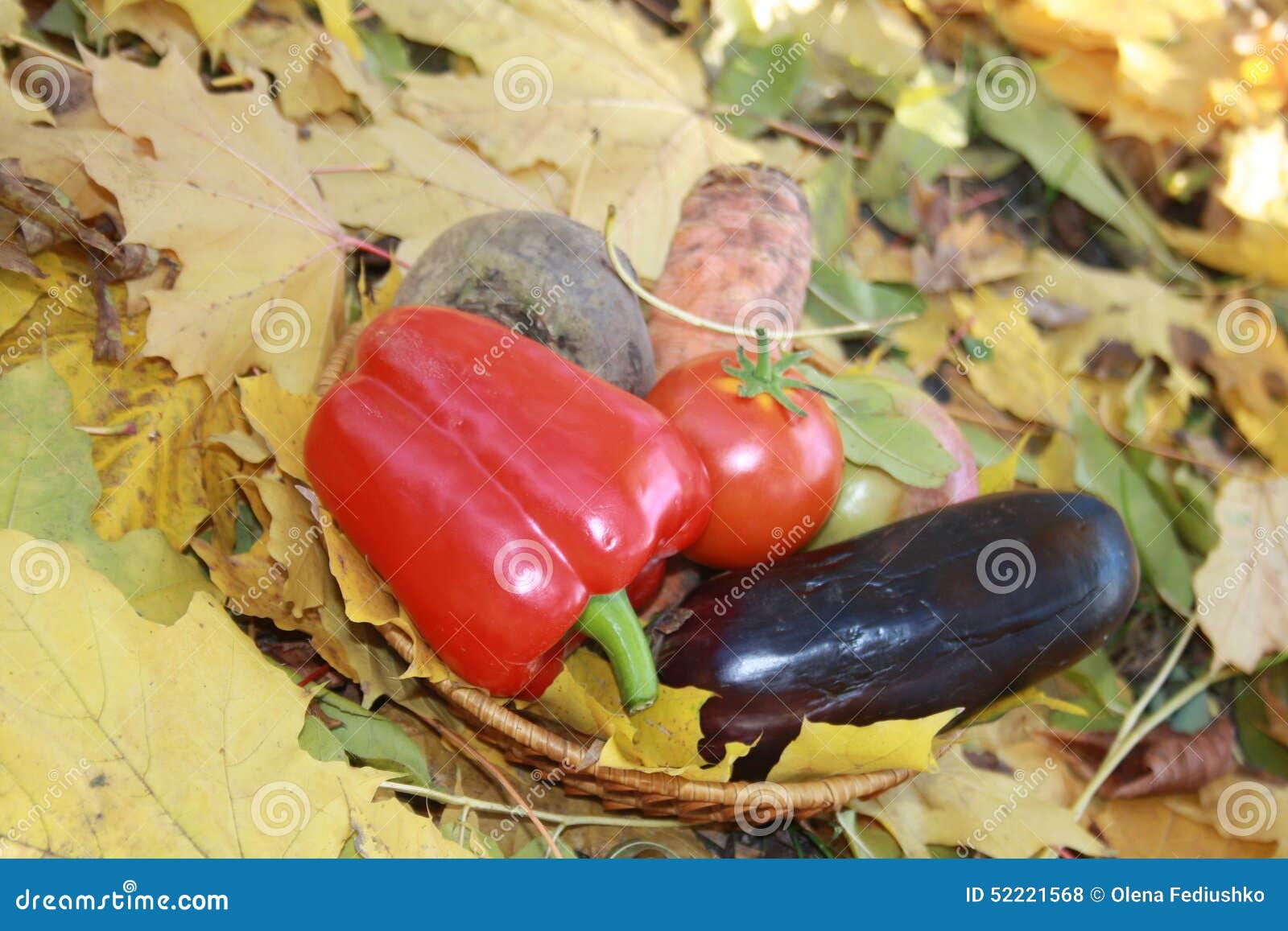 Verdure. Raccolto di autunno nutriente ed utile tutto l'anno