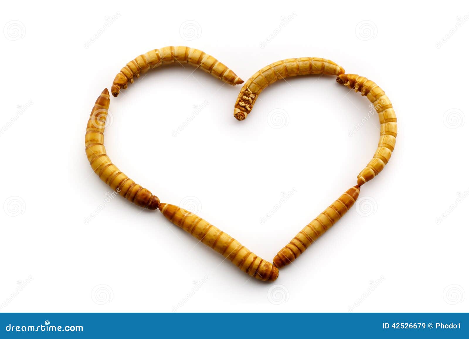 Pellet Di Sugna Con Vermi Farina Per Uccelli - 500g, Con Sorbo E Uvetta, UGF Premium - Foto 5