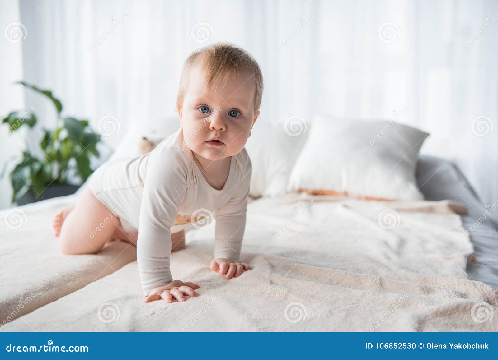 Verrukkelijke baby die op blad kruipen. Volledig lengteportret die van leuke zuigeling op het bed kruipen Zij bekijkt camera Exemplaarruimte in rechterkant