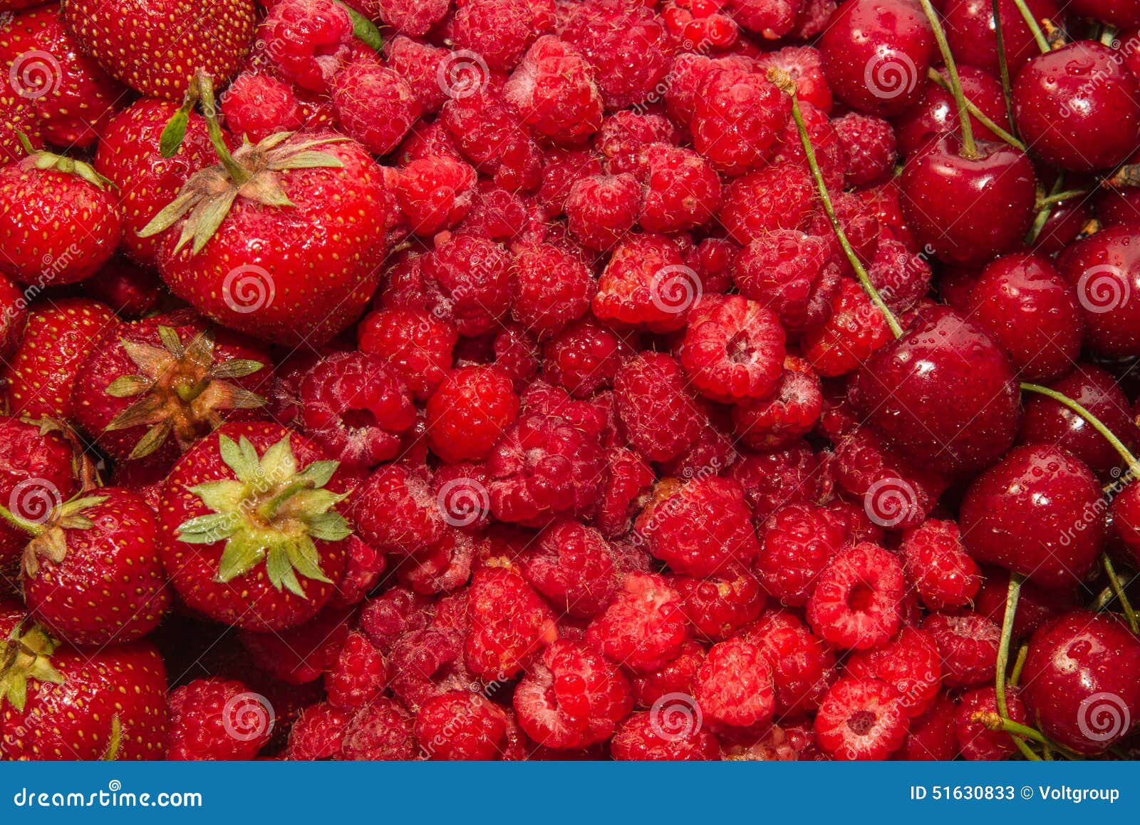 Vers rood fruit stock Image of vitaminen - 51630833