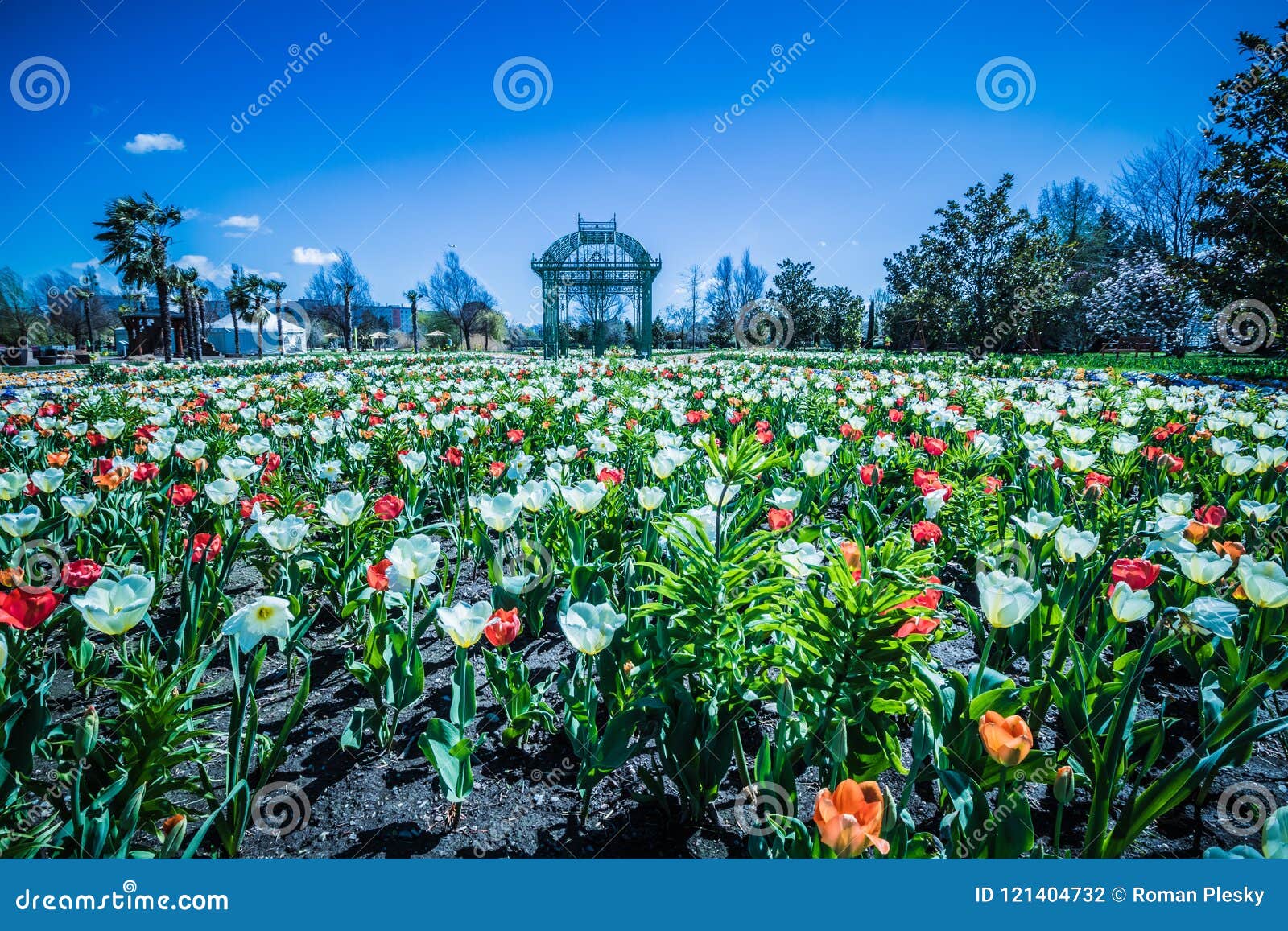 the famous flower gardens hirschstetten in vienna, austria stock