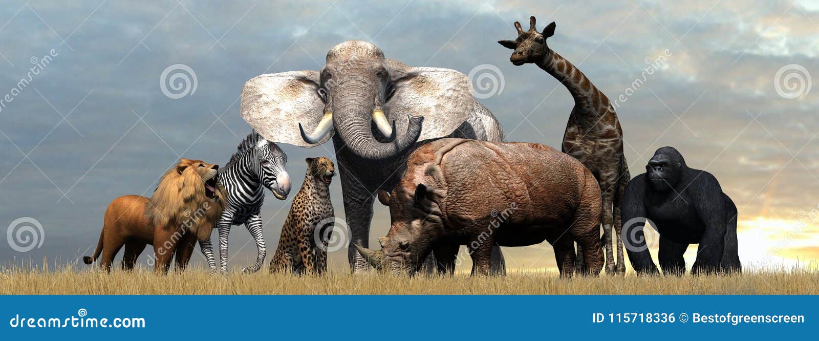 Verschiedene Wilde Tiere Von Afrika Stock Abbildung Illustration Von Safari Gorilla