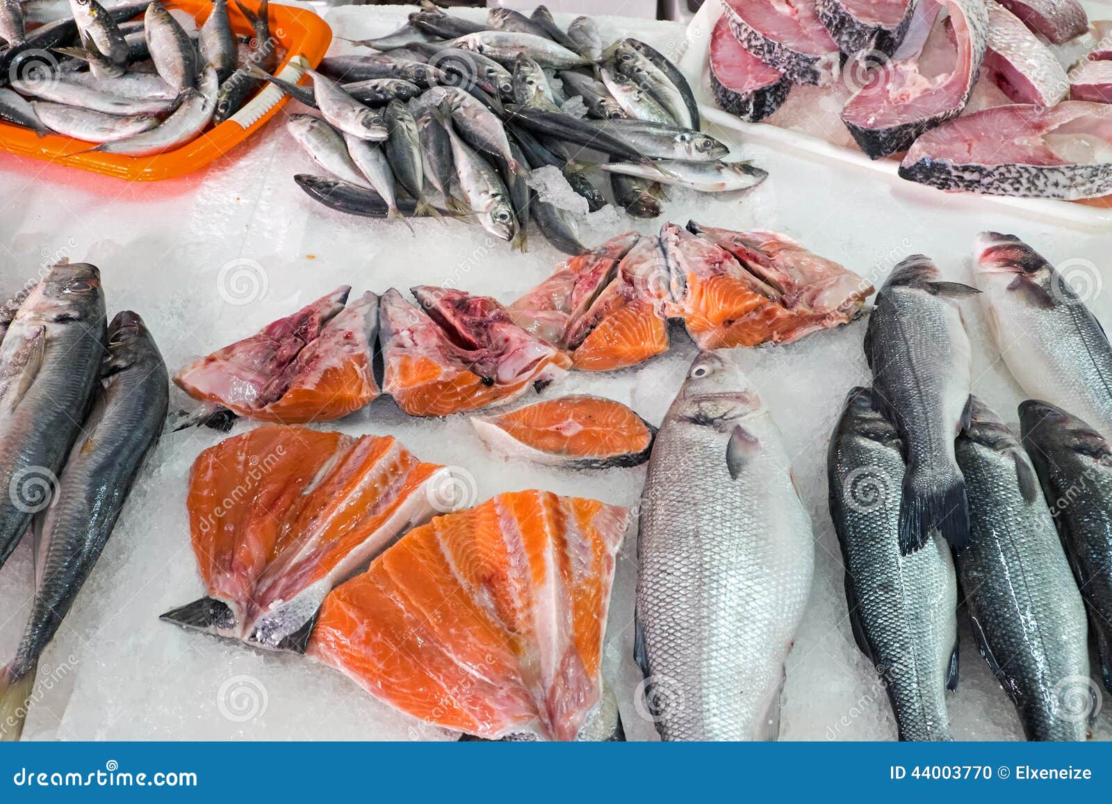 Festival Uitreiken vergeven Verschillende Soorten Vissen Voor Verkoop Stock Foto - Image of nave,  maaltijd: 44003770