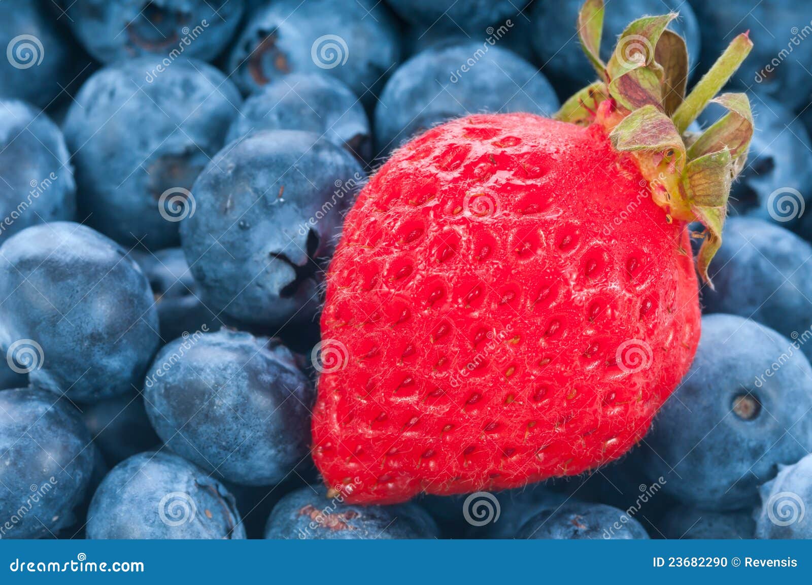 Verse Aardbei Met Blauwe Bes Stock Foto Image of braambes, kleurrijk