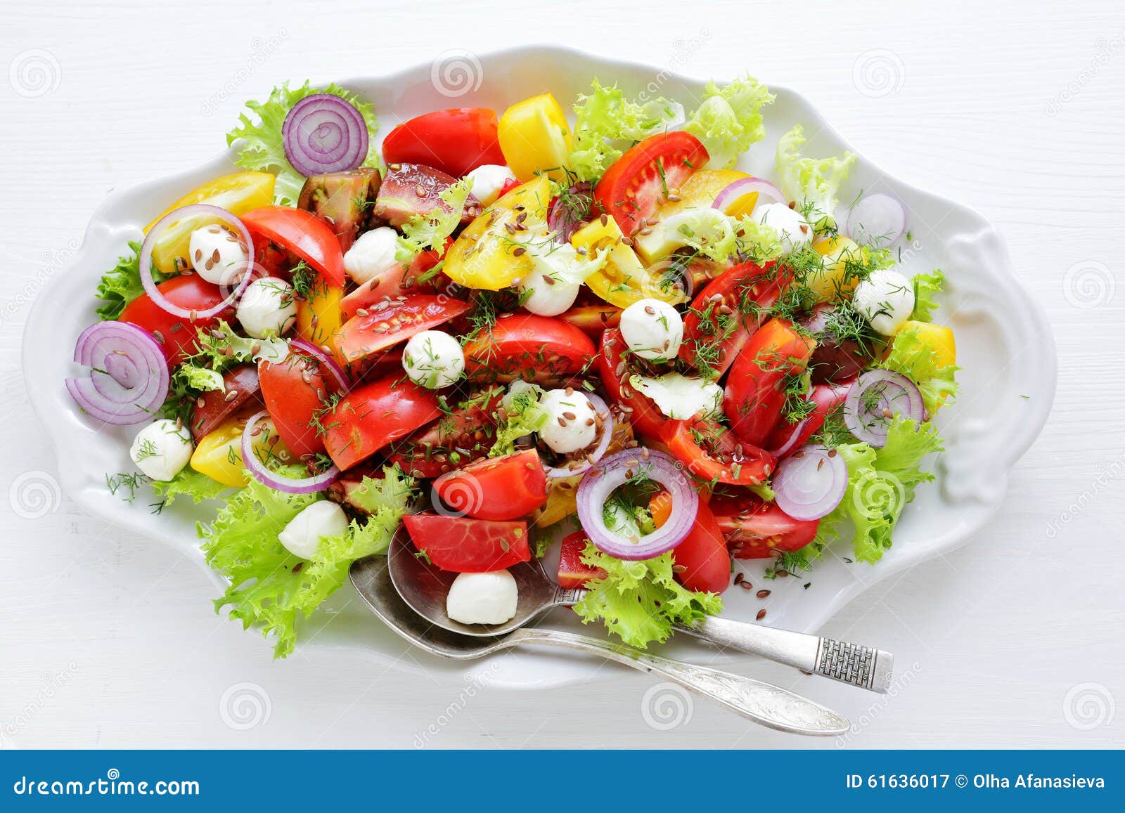 Verse Tomatensalade Met Kaas Stock Afbeelding Image of plaat, dille