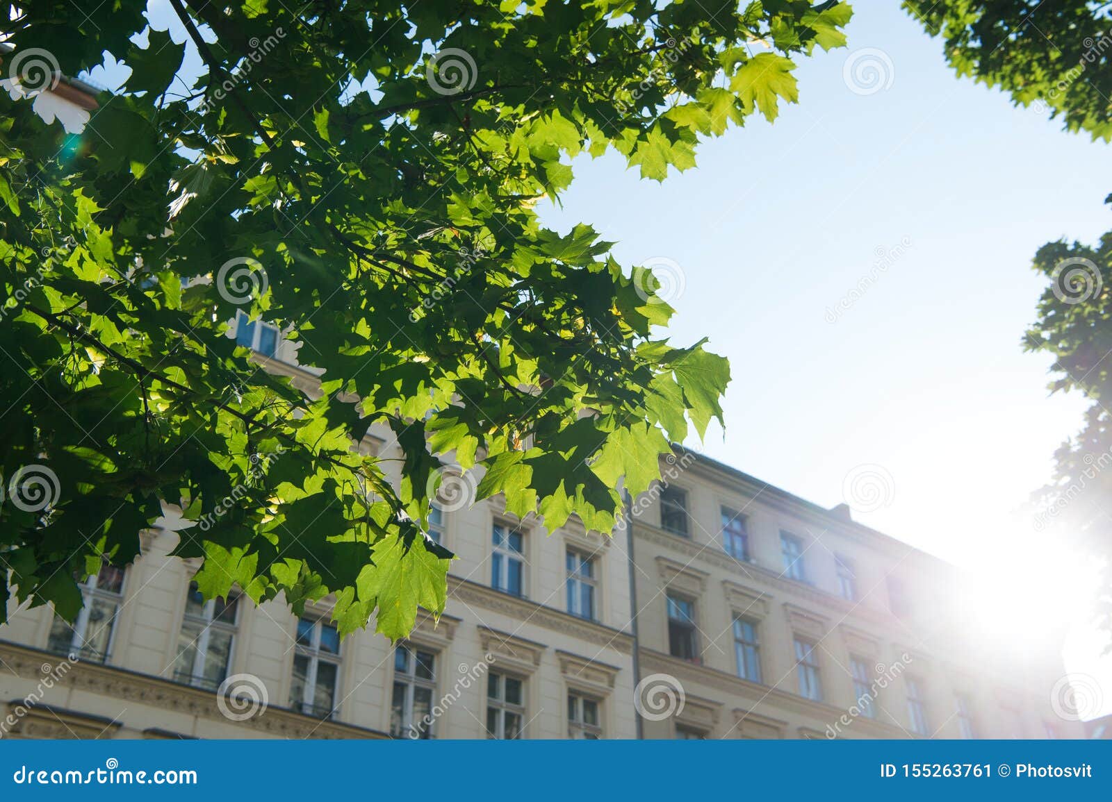 Verstecken Sie Sich Im Schatten Unter Baum Ansicht Vom Schatten Auf Sonnigem Himmel Sun Der Uber Gebaude Steigt St Dtisch Und Ar Stockbild Bild Von Schatten Baum