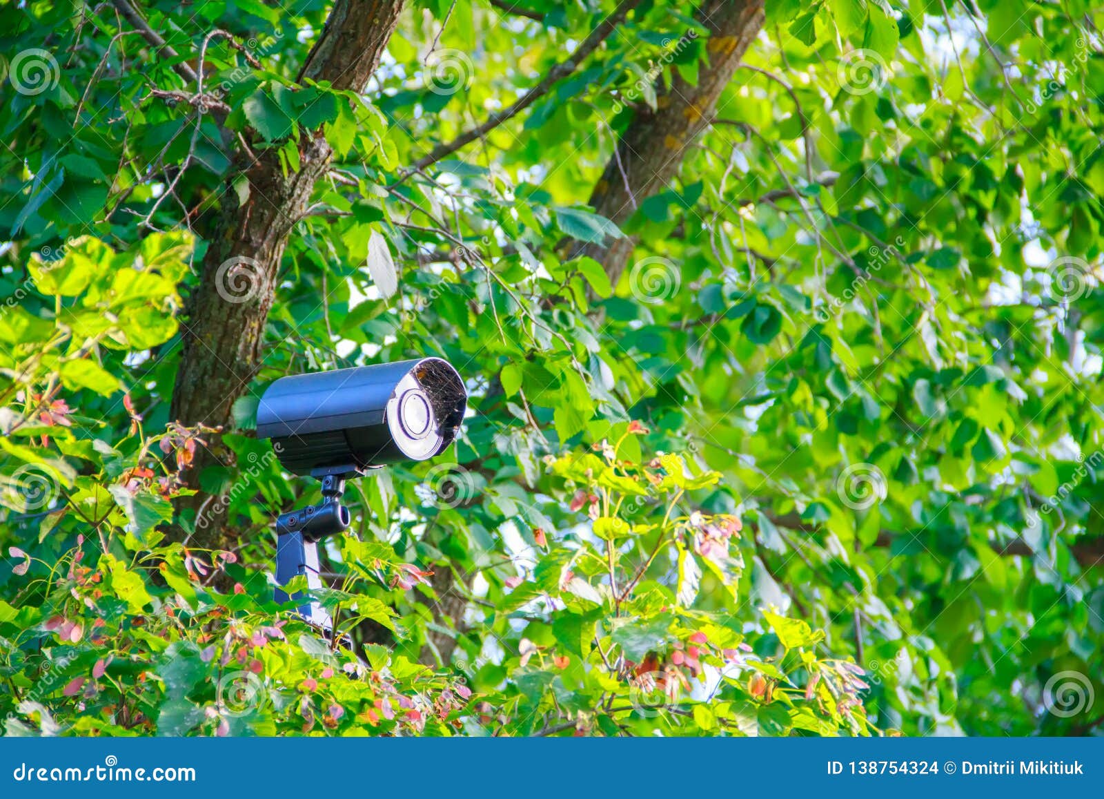 Versteckte Schwarze Metallstraßen-Sicherheitsvideokamera Mit Rücklicht Und  Spinnennetz an Der Klammer in Den Grünen Büschen Stockfoto - Bild von  halter, datenbahn: 138754324