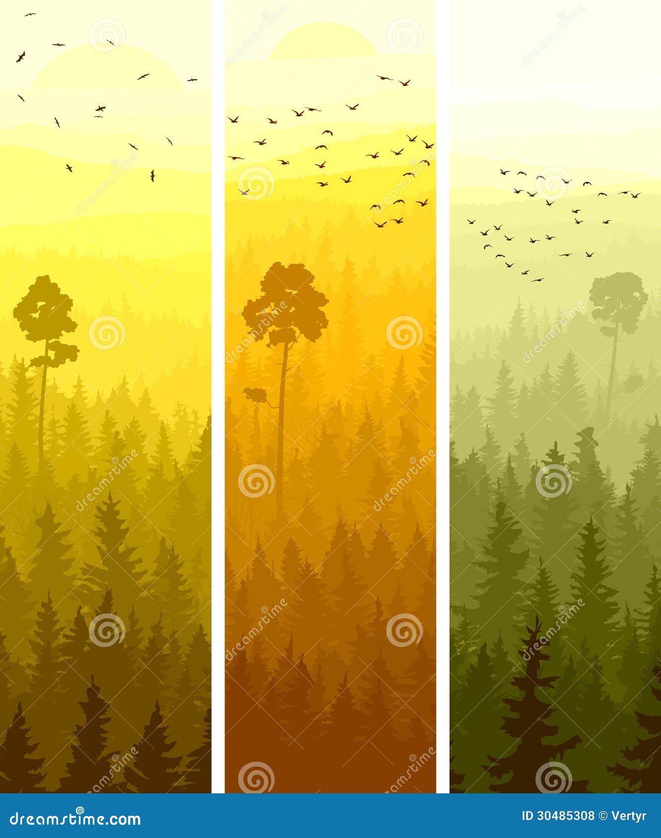 vertical banners of hills coniferous wood.