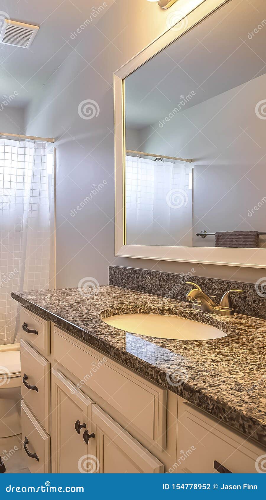 Vertical Bathroom Interior with Toilet beside a Vanity Unit with Large