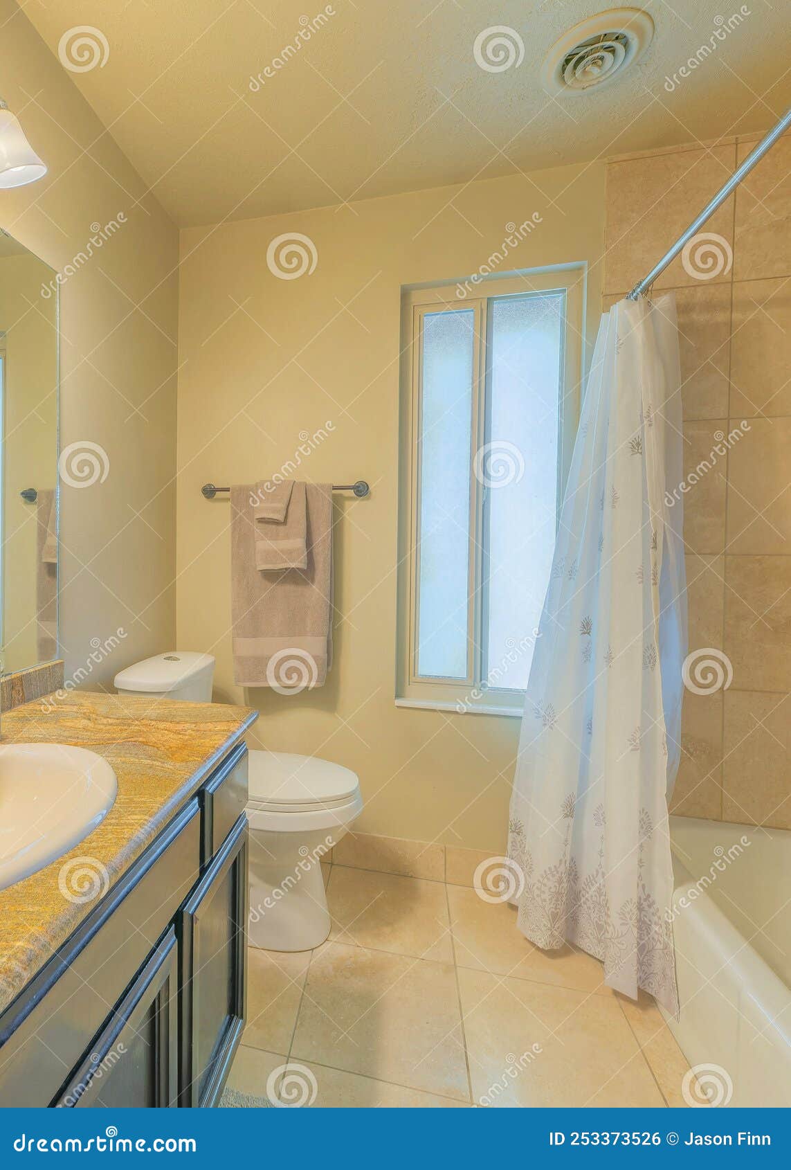 Vertical Bathroom Interior with Window and Ambient Lighting Fixture