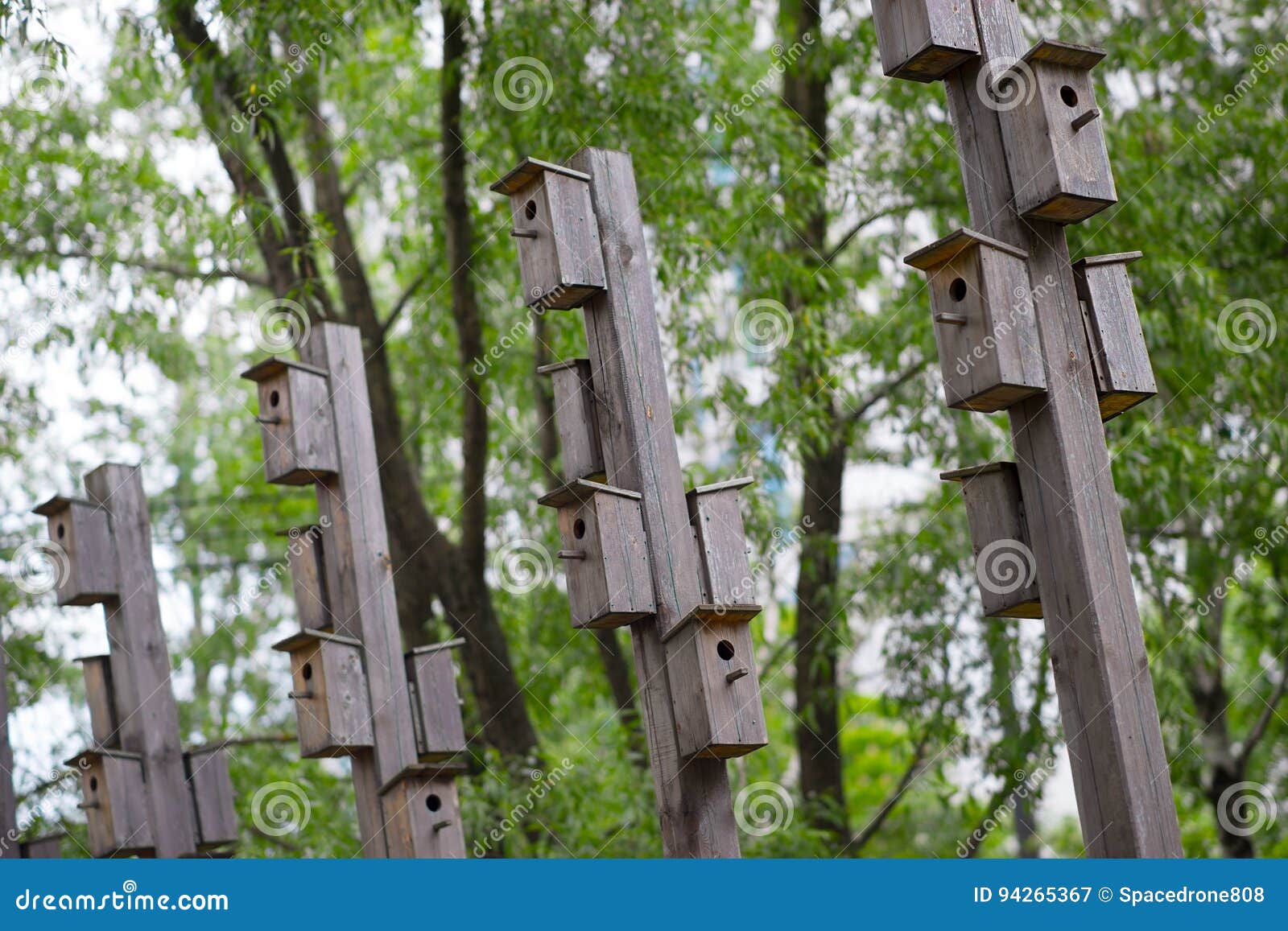 Vertical Bird Feeder City Park Bokeh Background Stock Image Image of