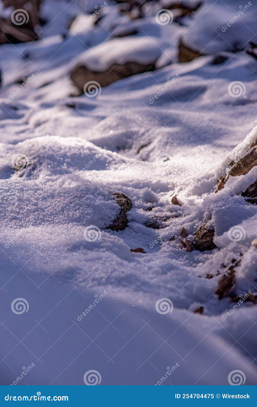 Vertical Closeup of Sparkly Snow on Stones the Ground Under Sunlight in