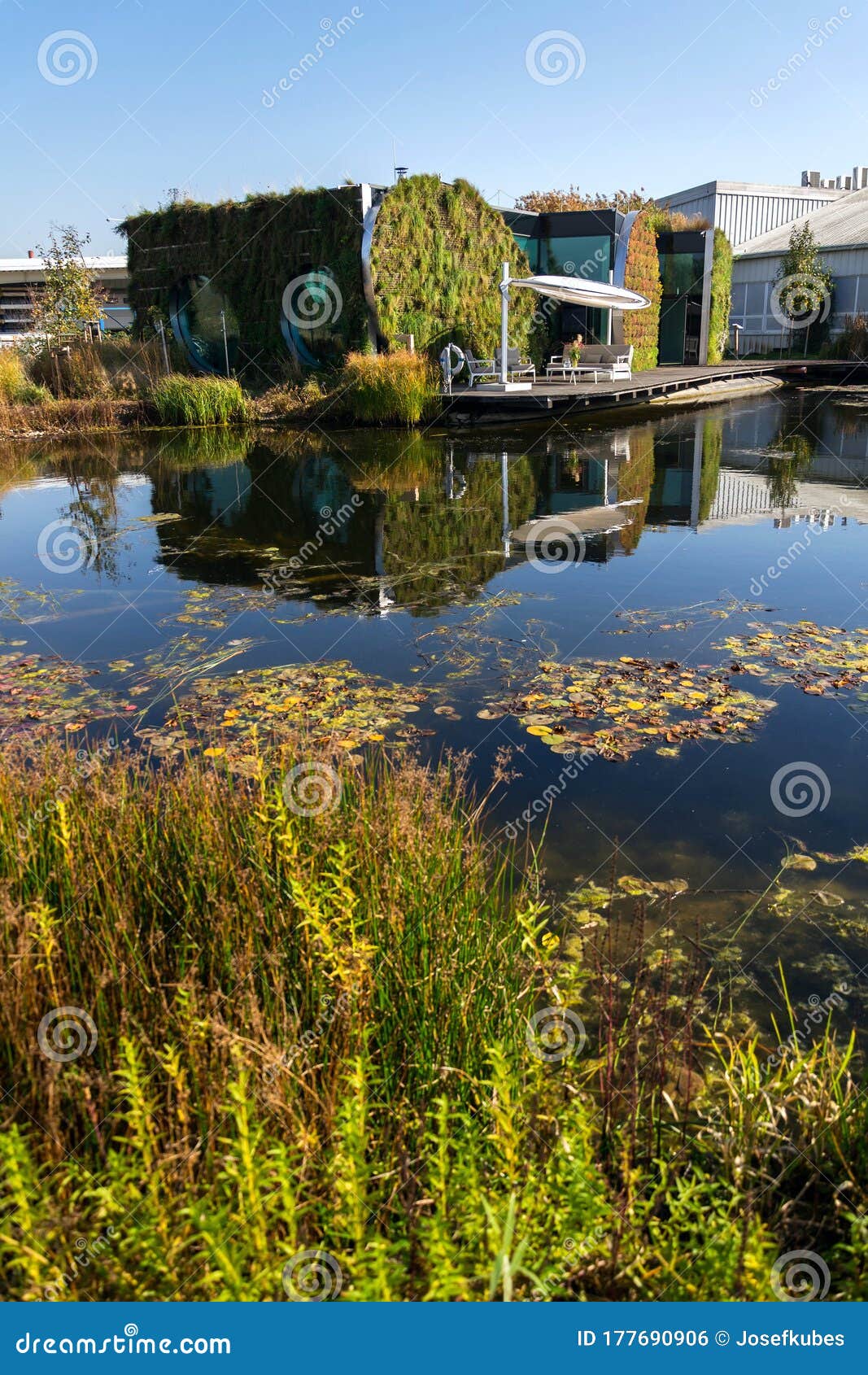 dræbe Lagring dræne Vertical Garden on Facade with Green Living Wall Reflecting in Natural  Biotope Pool with Self-cleaning Water with with Plants Stock Photo - Image  of drought, pond: 177690906