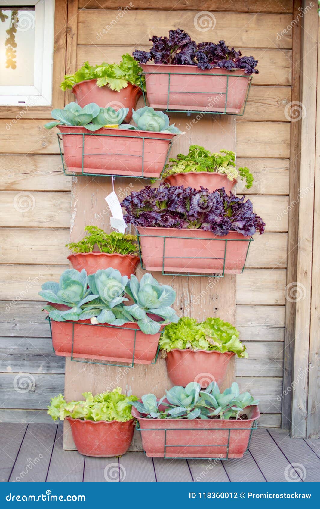 Vertical Garden with Flower and Plant Pots Stock Photo Image of gardening, nature 118360012