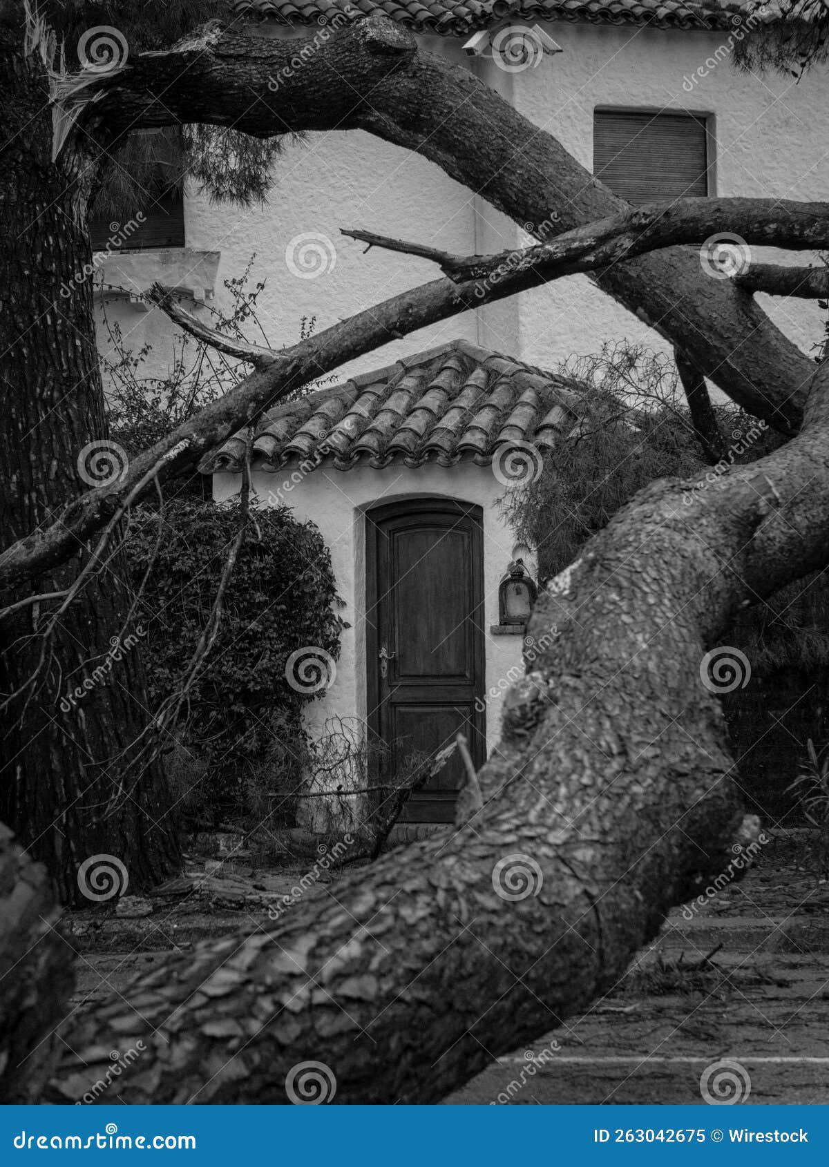 Vertical Grayscale of an Oldfashioned House with a Tiled Roof, Visible