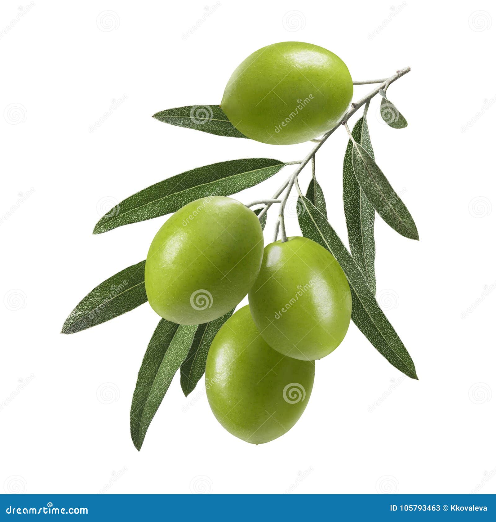 Olives On White Stock Photo - Download Image Now - Olive - Fruit