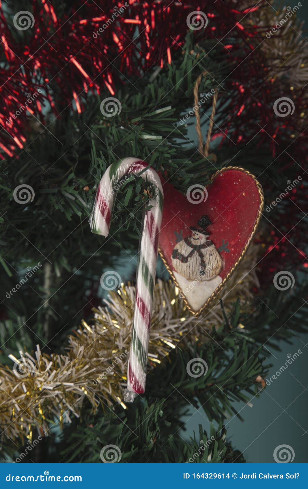 Vertical Image of Christmas Candy Cane on a Fir Tree with Garlands