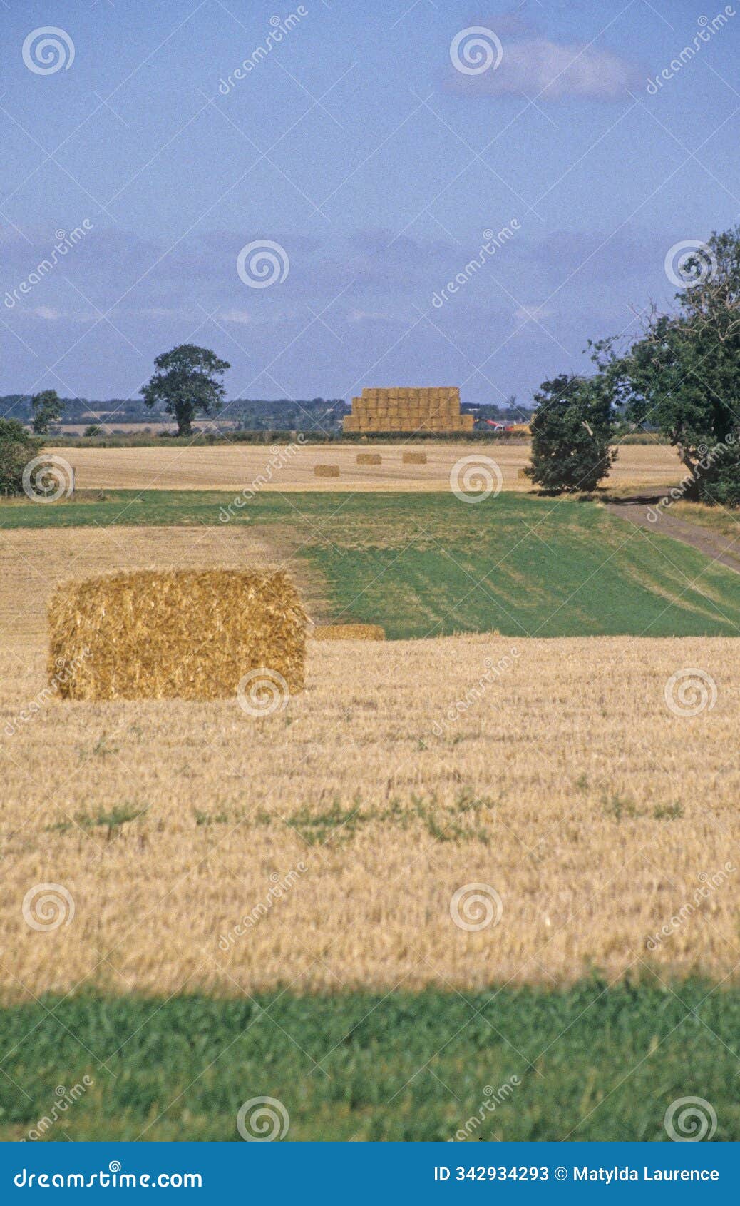 british farmland fields with where stubble after harvest time uk