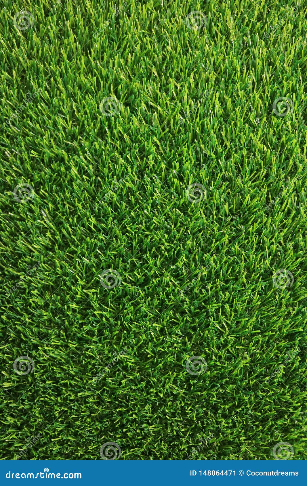 Vertical Image of Lush Green Grass Lawn for Background Stock Image