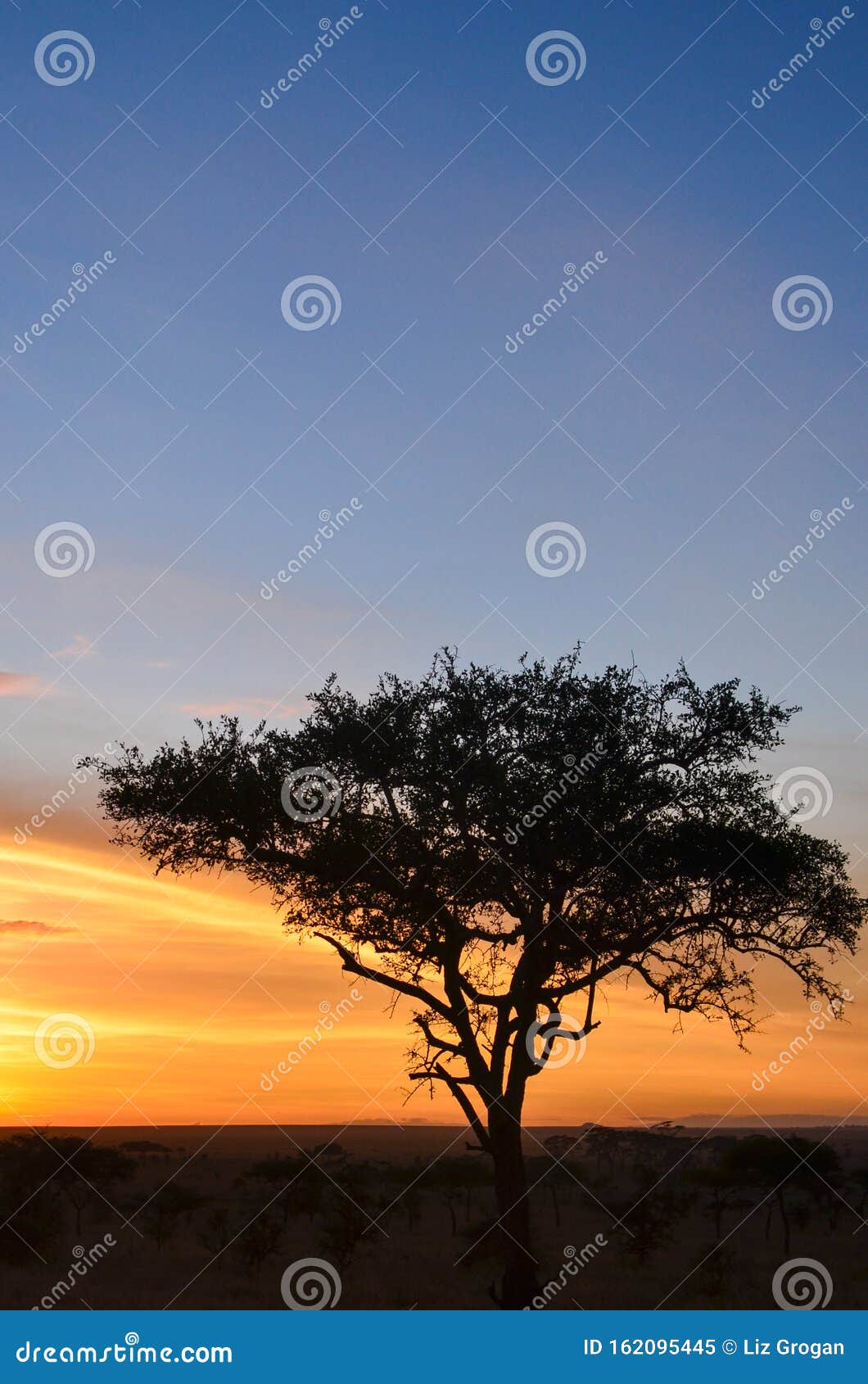 Serengeti National Park, Tanzania Sunrise Sunset Times