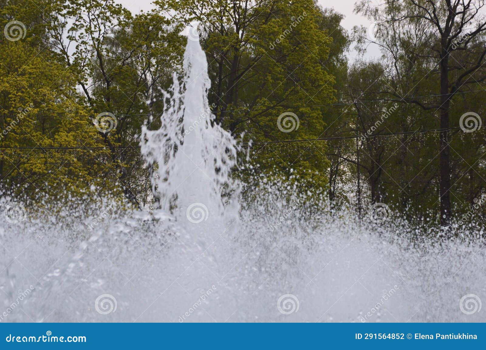 Water Flows of a Fountain Against a Background of Green Trees. Vertical