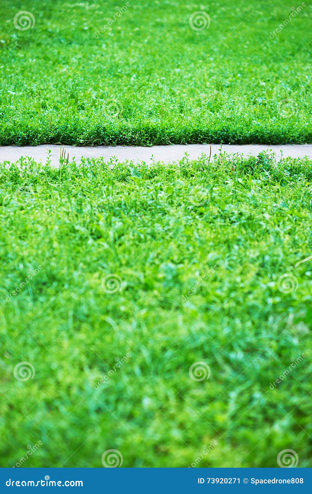Vertical Park Path With Green Grass Background Stock Image Image