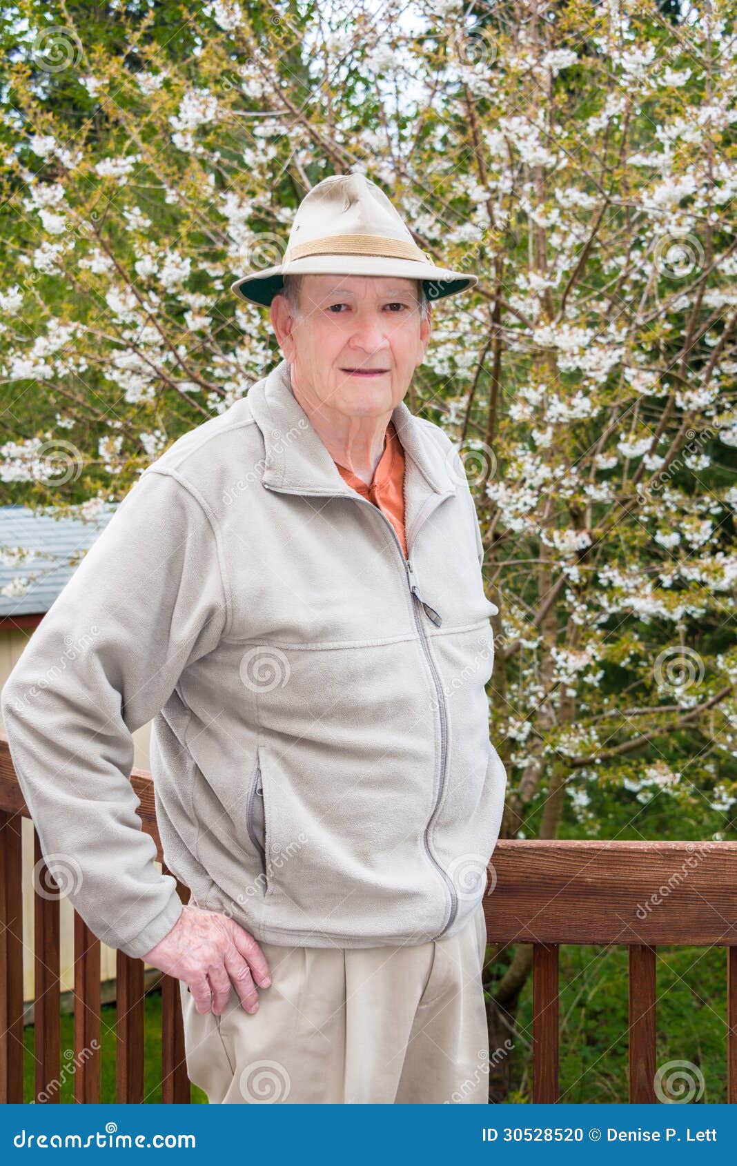 Vertical Portrait of Older White Man. Elderly white man standing, hands on hip, outside in front of cherry tree in bloom. Vertical. Copy space.