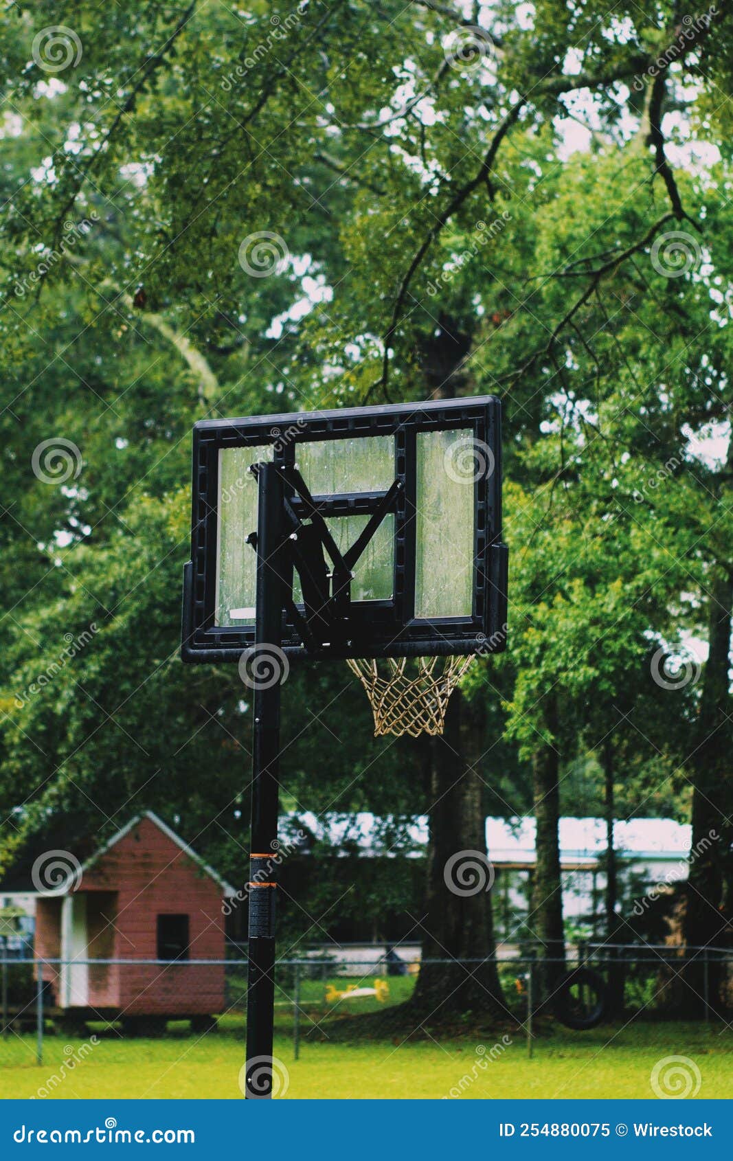 Vertical Shot of a Basketball Hoop in a Park Stock Image Image of