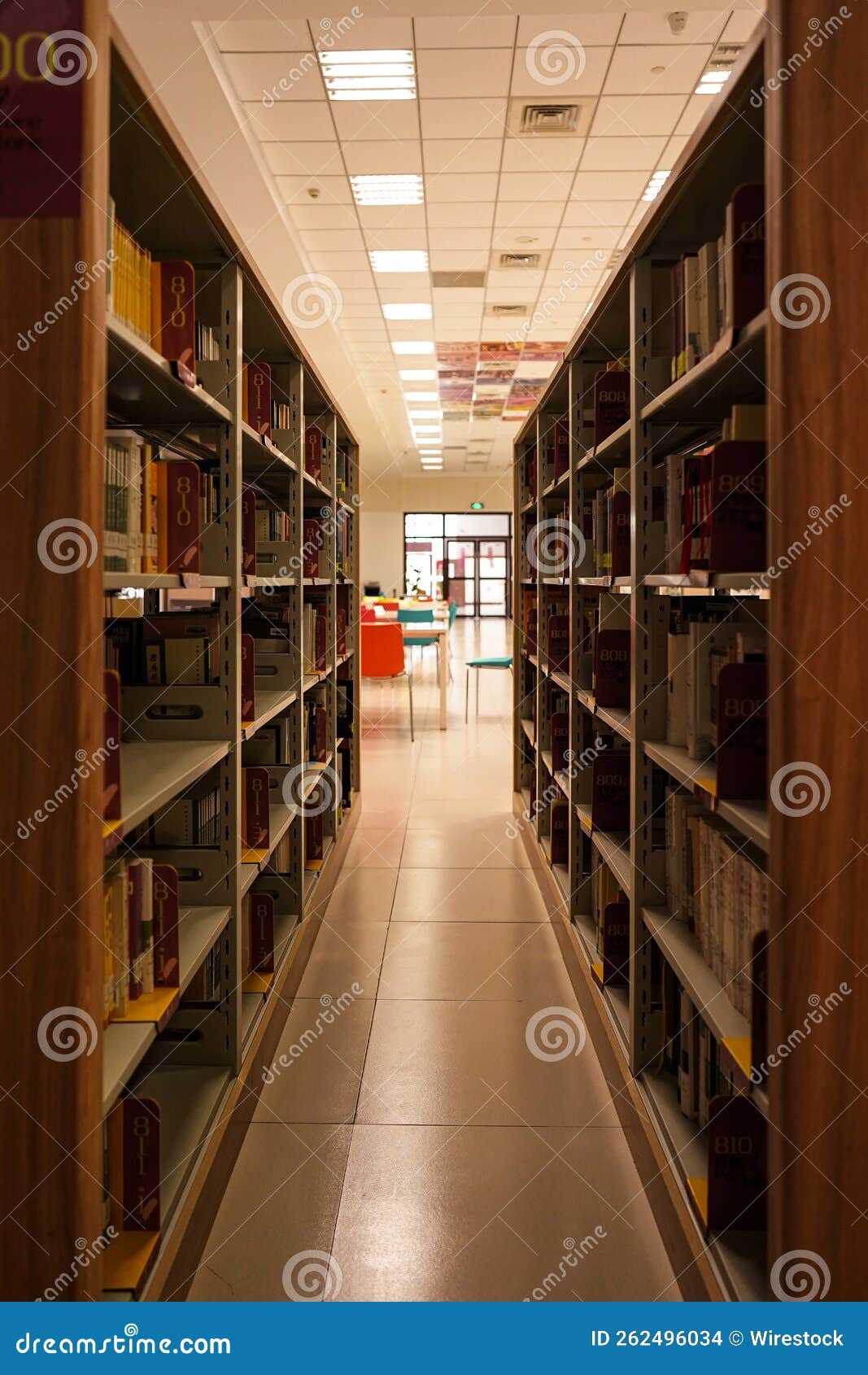 Vertical Shot of Books on Bookshelves in the Library Stock Photo
