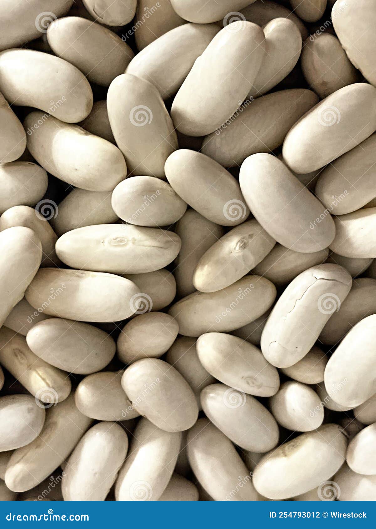 Vertical Shot of a Bunch of Dried White Kidney Beans Stock Photo