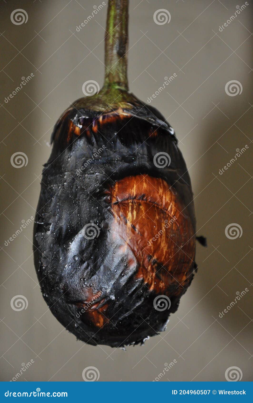 Burned Eggplant Stock Photos Free & RoyaltyFree Stock Photos from