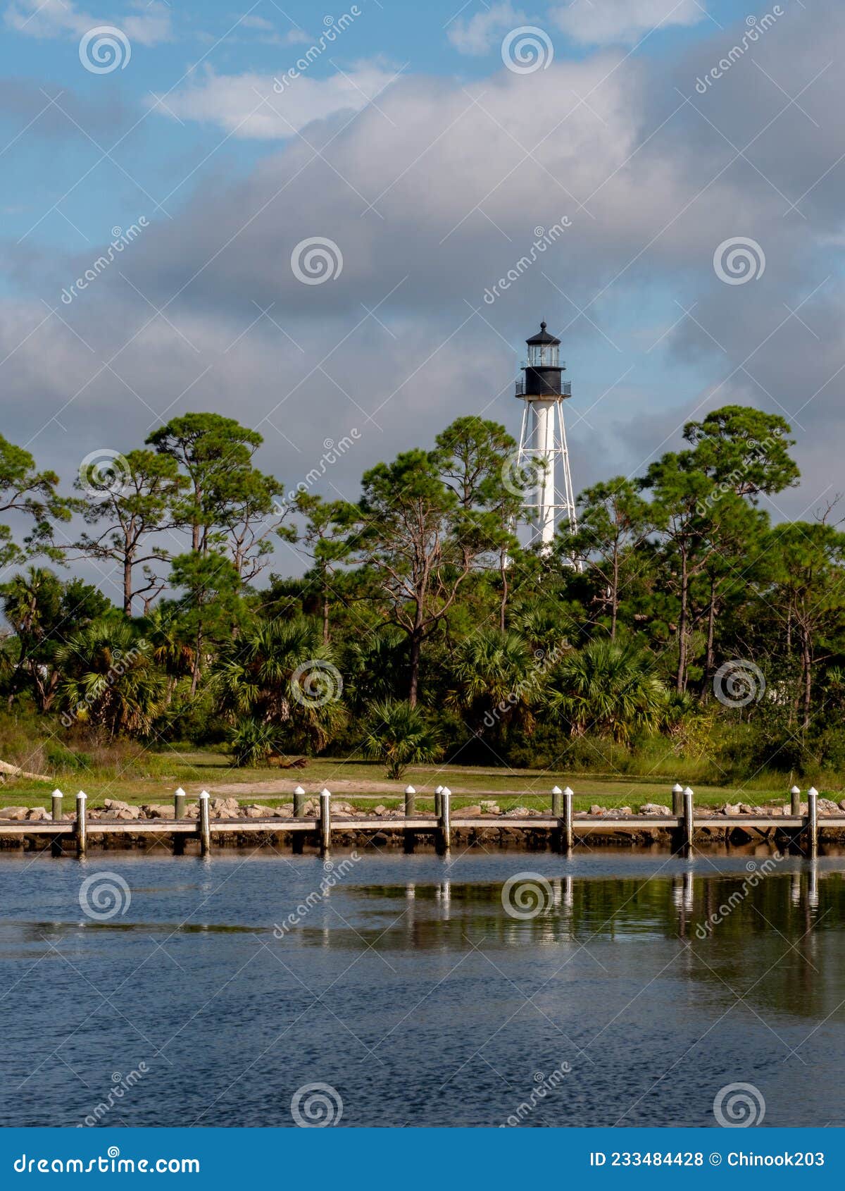 Vertical Shot of Cape San Blas Lighthouse Stock Photo Image of black