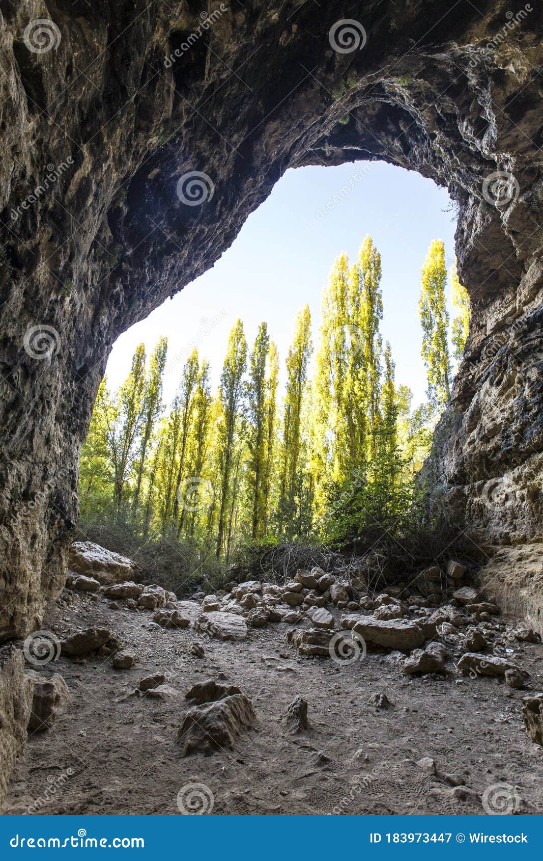 vertical shot of a cave with trees on the background in the senda de la vega park in segovia, spain