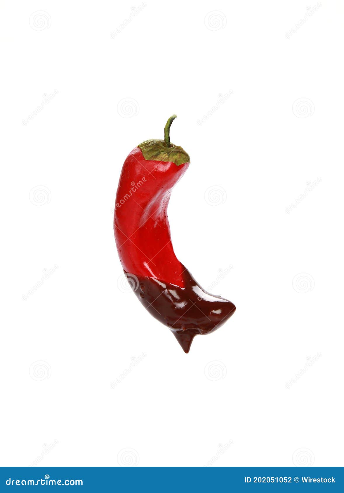 Vertical Shot of a Chili Pepper Dipped in Chocolate Stock Photo Image of unusual, tasty 202051052