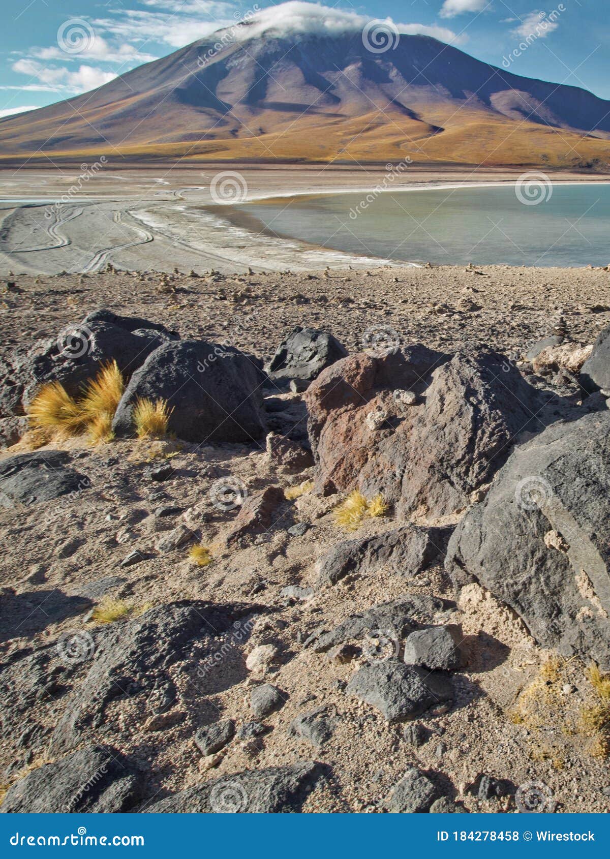 Collection 24+ Stock Images eduardo avaroa national reserve of andean fauna Stunning Collection 24+ Stock Images eduardo avaroa national reserve of andean fauna Stunning