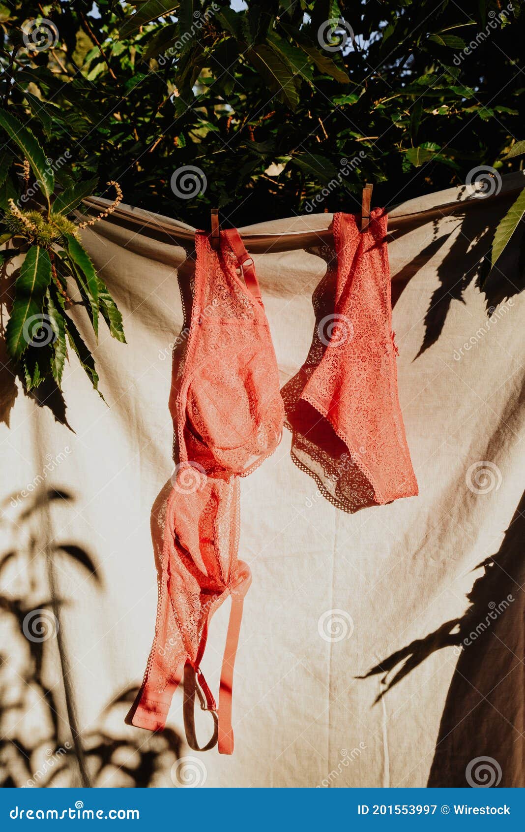 Girls in panties on roof Panties Bra Drying Photos Free Royalty Free Stock Photos From Dreamstime