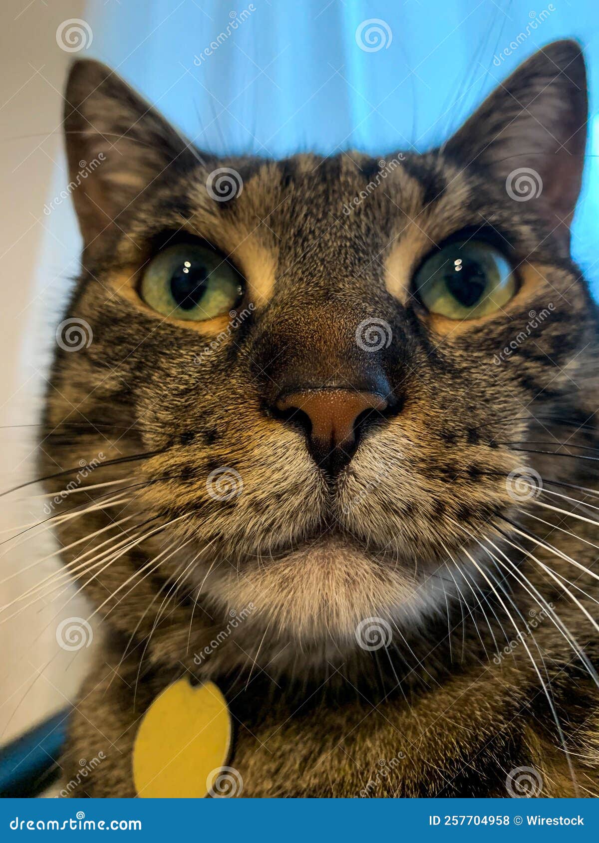 My Image 25