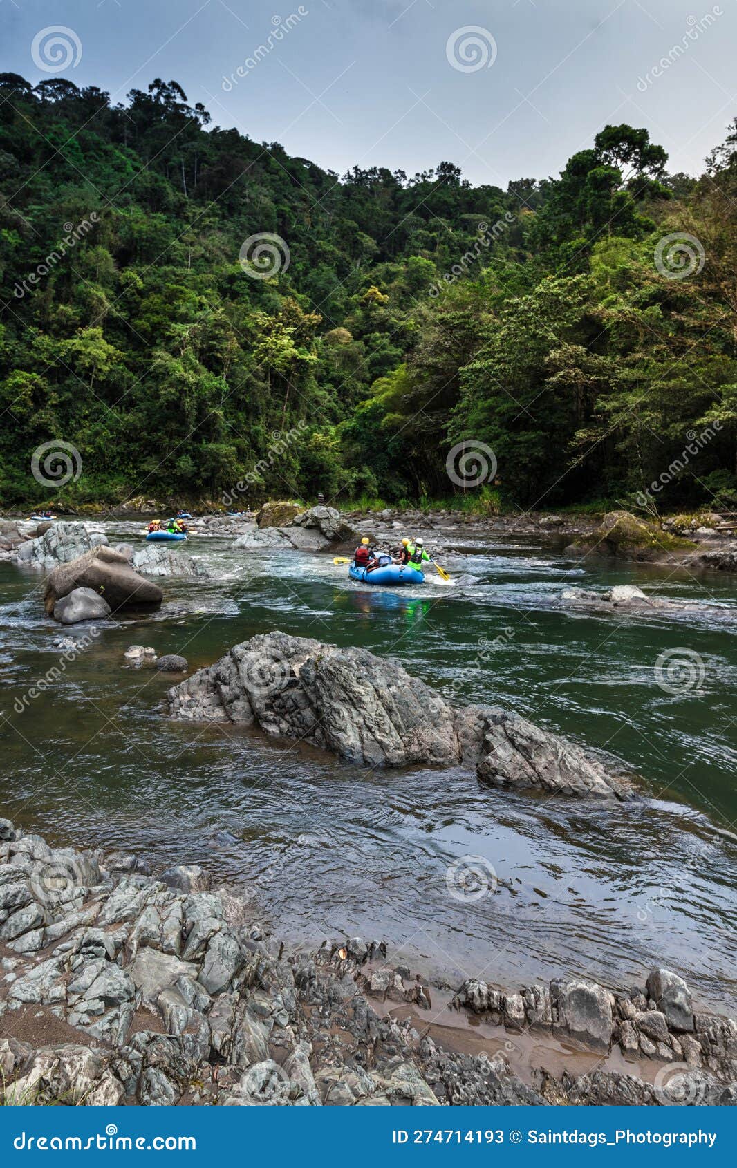 vertical shot of a group of tourists rafting in a raft in the middle of the jungle on the pacuare river in costa rica