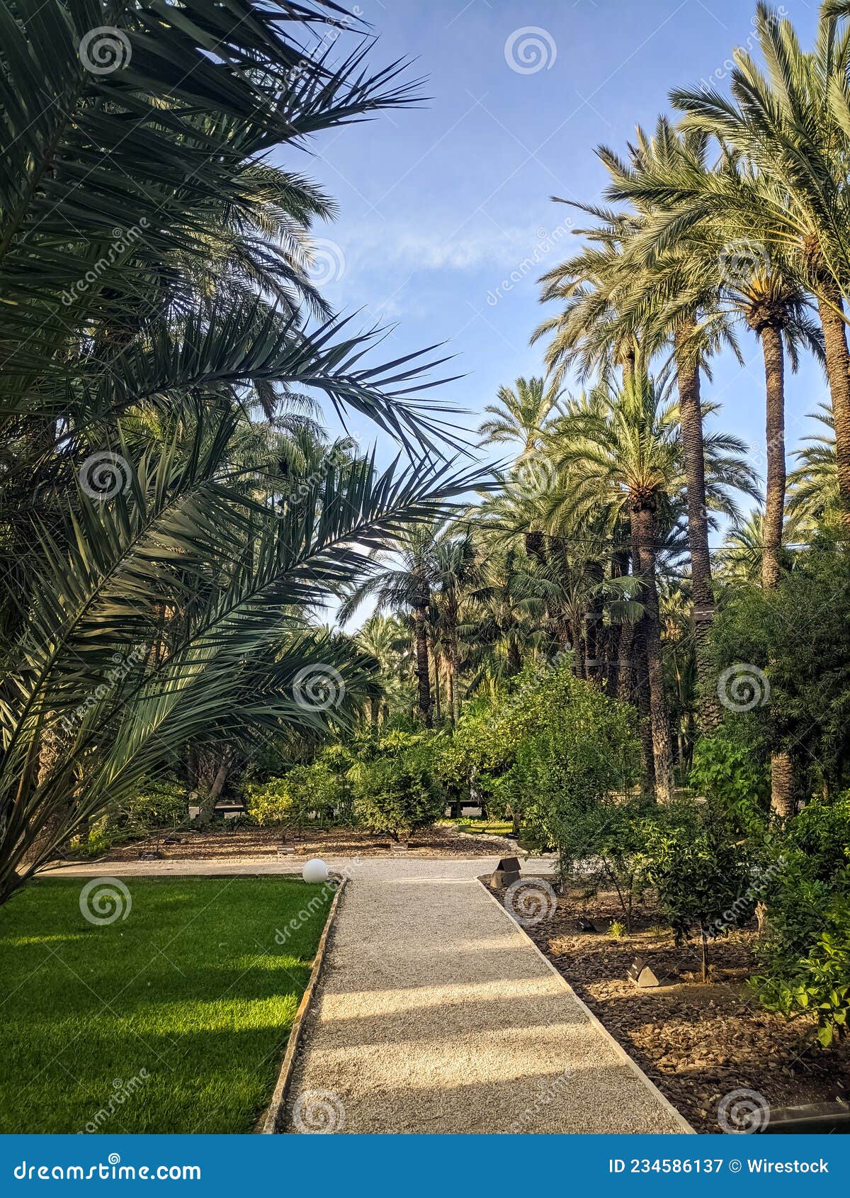 vertical shot of the huerto del cura national garden in spain