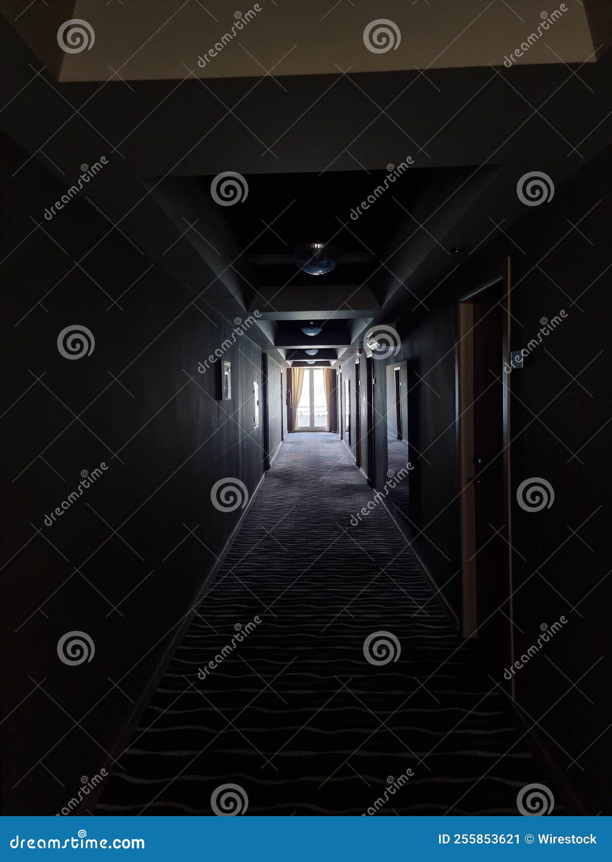 Vertical Shot of a Long Dark Hallway Stock Image Image of wall