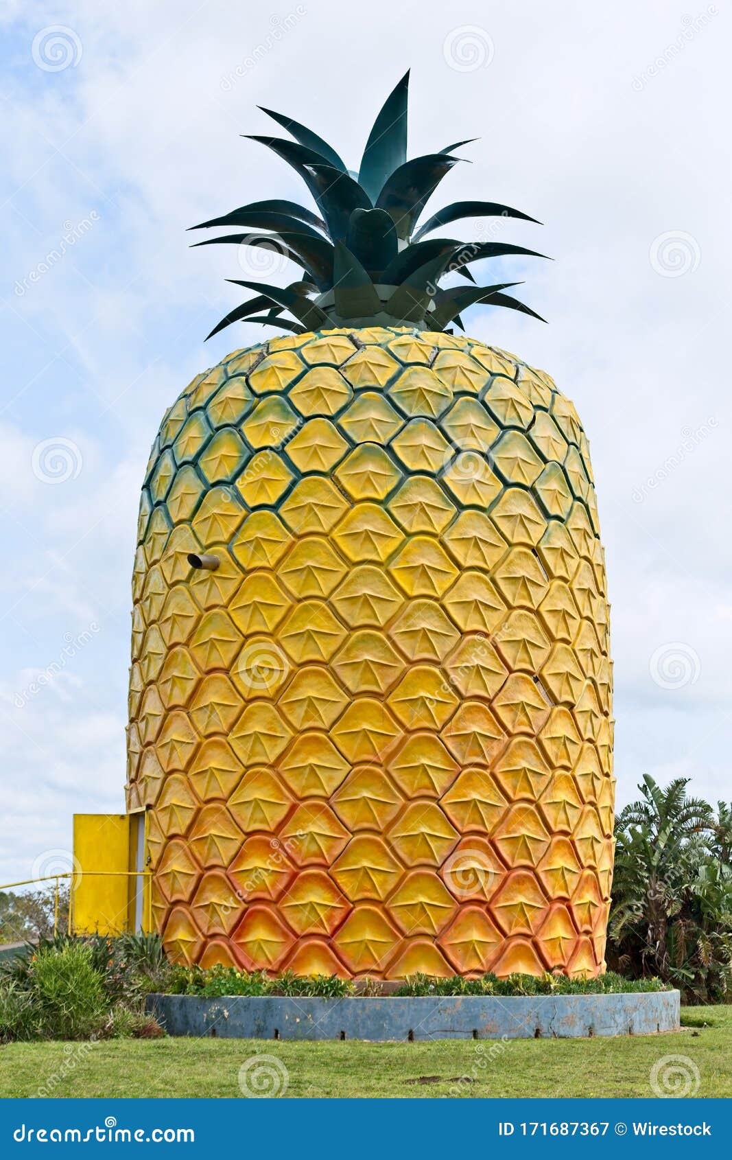 Vertical Shot of the Pineapple Bathurst on the Grassy Fields Captured