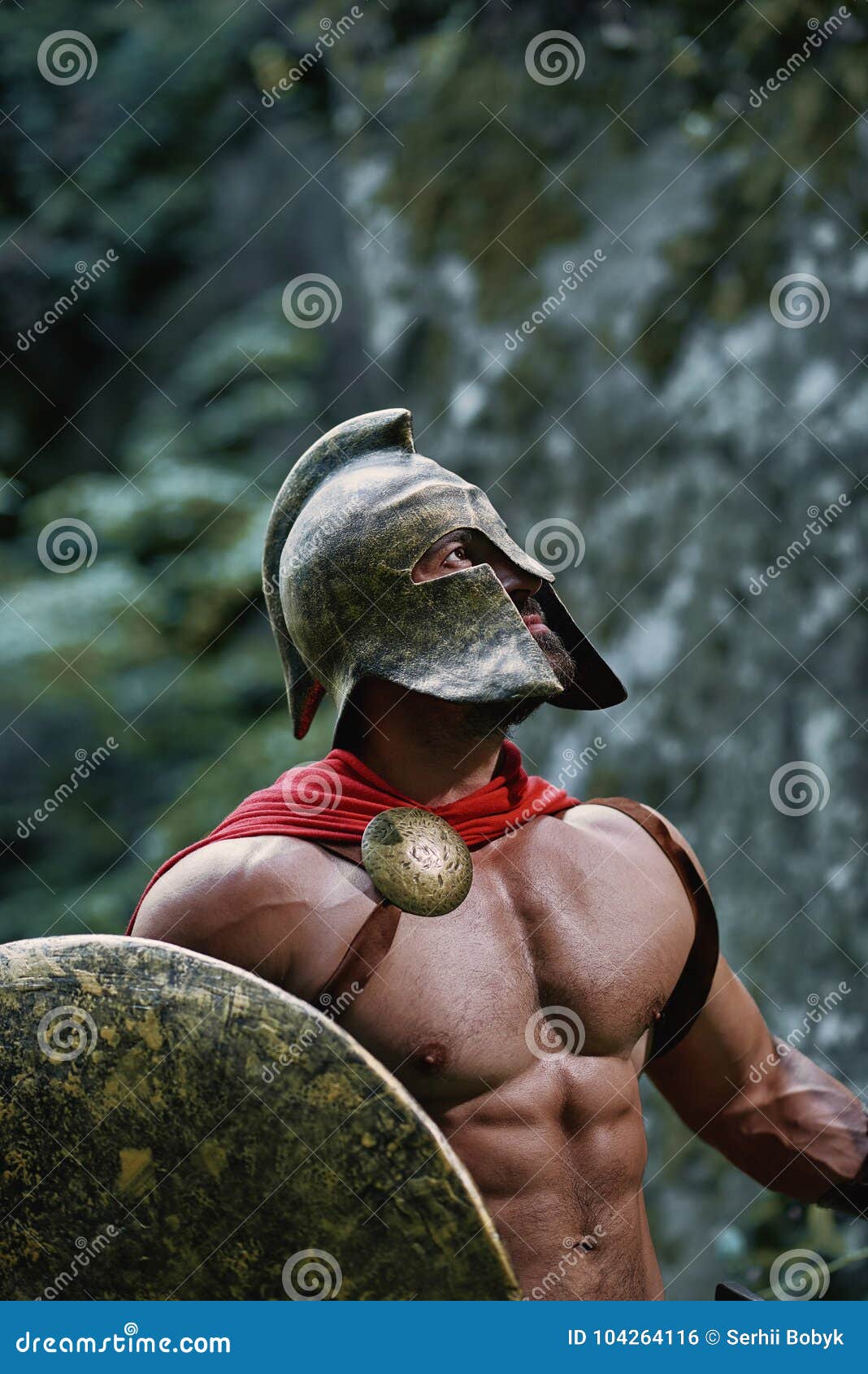 Spartan Warrior in the Woods Stock Photo - Image of battledress, fight:  104264116