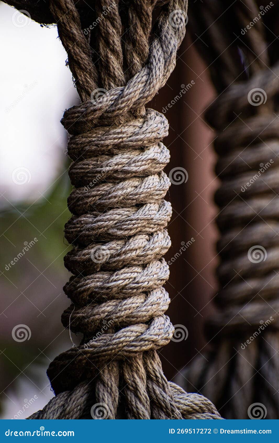 Vertical Shot of a Rope Fence Stock Photo Image of rope, texture